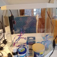 Complete Ciano Hexagonal Fish Tank 19L Setup  Aquarium with Hood, Light, Heater & Accessories