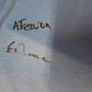 Dublin GAA (Autographed) O'Neills Gaelic Football Jersey (Youths 13 Years) FREE POST Image 2