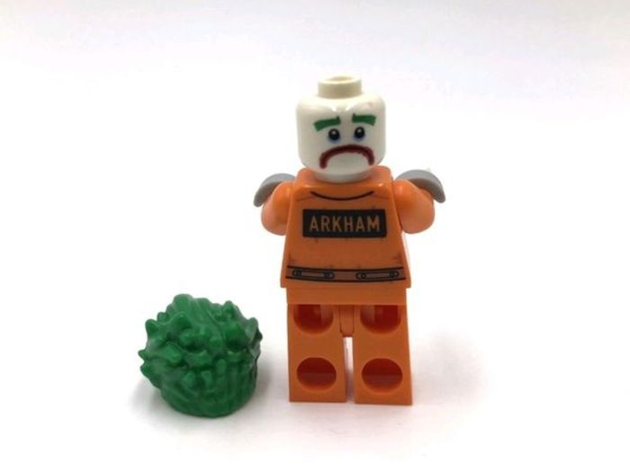 Lego JOKER Minifigure Lego Batman Lego Minifigure