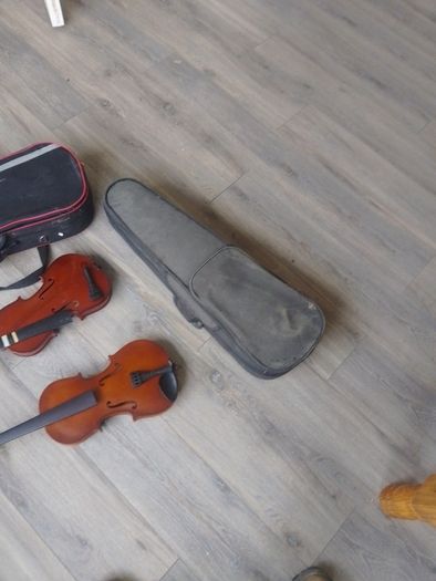 violin