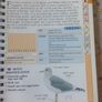 Coastal & Sea Birds Handbook Image 7