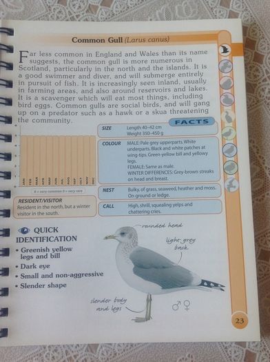 Coastal & Sea Birds Handbook