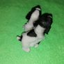 Spaniels Dimontti Italy Style Image 2