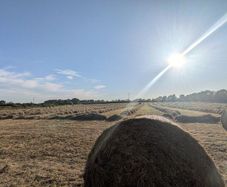 Round bales of Hay for Sale
