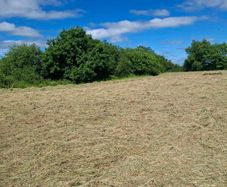 80 Round bales of hay