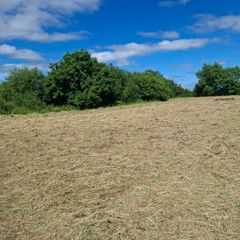 80 Round bales of hay