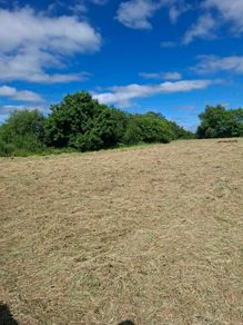 80 Round bales of hay