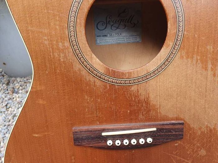 Seagull S6+ Folk Project Guitar