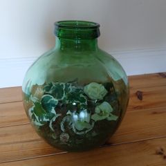 Vintage bottle garden . Green verdi glass.