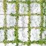 Plant Support,T316 Stainless Steel Trellis for Climbing Plants, Professional System with Wall Brackets 16Holders, 24 m Rope Image 7