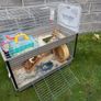 Cage Image 2