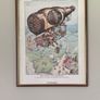 pub memorabilia Image 5