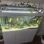 Aquael Opti Glass Aquarium  300L with Cabinet Fluval Filter & Plant Light Image 9