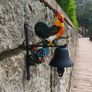 Cast Iron Hand Painted Rooster Bell Image 2