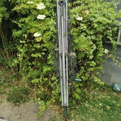 Washing Line