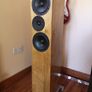 Floor Standing Loudspeaker Image 10