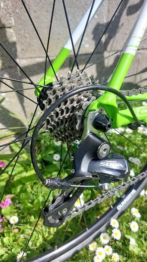 Lapierre Audacio 300 Road Bike - Shimano Sora - Size L/56cm - Fully Serviced - Excellent Condition
