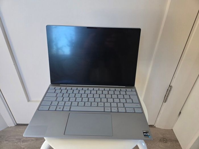 Dell Xps 9315 (3022)