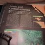 Book on Rainforests Image 8