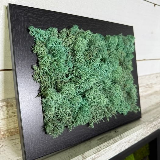 Frame 02- 20x25cm natural moss