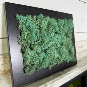 Frame 02- 20x25cm natural moss