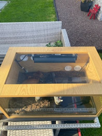 reptile vivarium