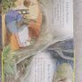 Peter Rabbit Nursery Rhyme book Image 2