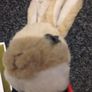 Peter rabbit baby milestone cards and plus rabbit Image 2