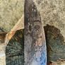 Chef Black Knife Skull Desing By Di'Casteel Image 3