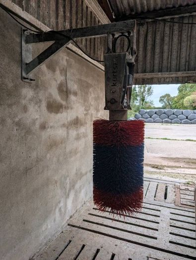 Automatic cow brush