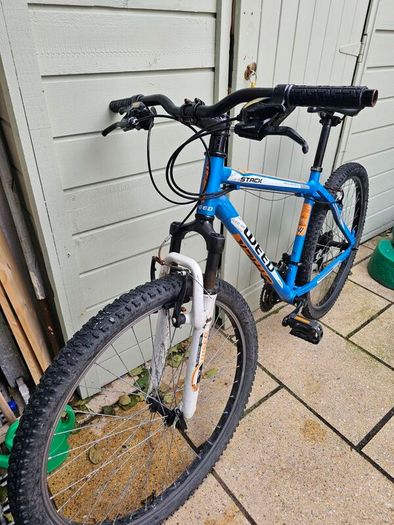 Mountain bike hardtail