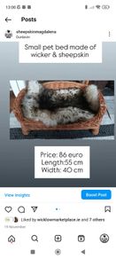 pet bed, cat bed, dog bed