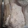 Large Pair cast stone Garden Lions Image 6
