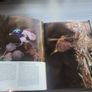 The Nature of Australia Michael Morcombe Image 5