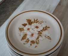 Dinner plates