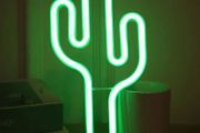 Small Neon Sign Cactus