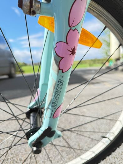 Liv Enchant 2 (by Giant) Womens Bike - Size M - Fully Serviced- 26" Wheels