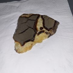 Slice of turtle back agate