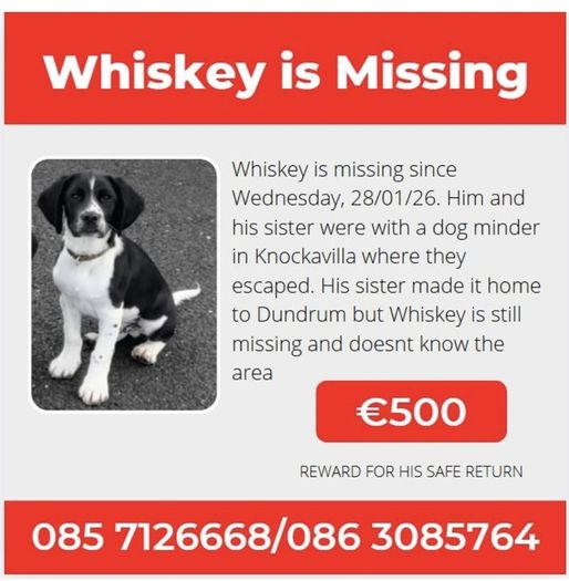 Missing from Dundrum,Tipperary: Cash Reward