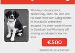Missing from Dundrum,Tipperary: Cash Reward