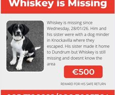 Missing from Dundrum,Tipperary: Cash Reward