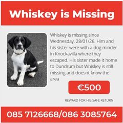Missing from Dundrum,Tipperary: Cash Reward