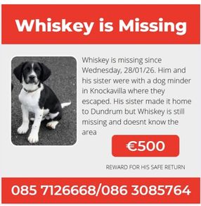 Missing from Dundrum,Tipperary: Cash Reward