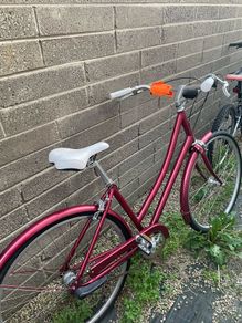 Women bike  for sale