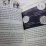 Book: The Environment Image 4