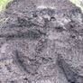 Well mature Manure Image 4