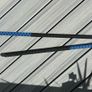Bo Staff Image 5