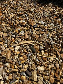decorative stone garden