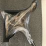 Dinosaur Velociraptor Winston Rebor Image 3