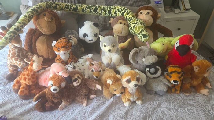 Teddy zoo